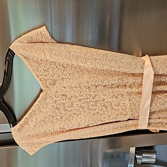 💕TAHARI by ASL💕 Glitter Lace Trim Metallic Ribbon Belted Dress Light Pink 18W - Picture 10 of 14